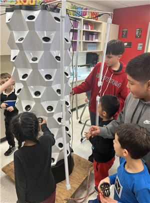 Students building tower garden.